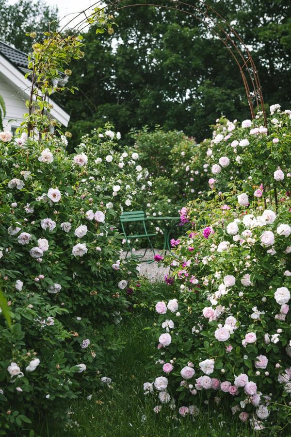 Enköping Vallby Cottage מראה חיצוני תמונה