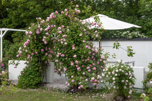 Enköping Vallby Cottage מראה חיצוני תמונה