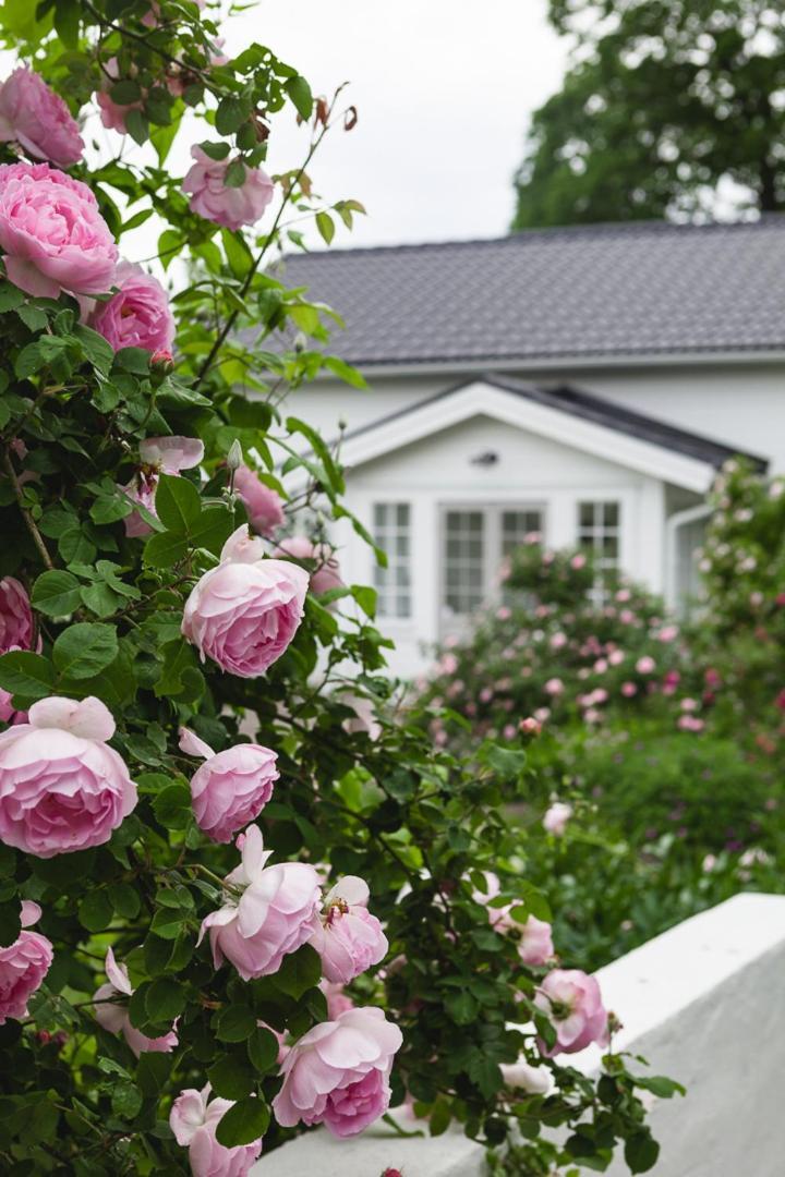 Enköping Vallby Cottage מראה חיצוני תמונה